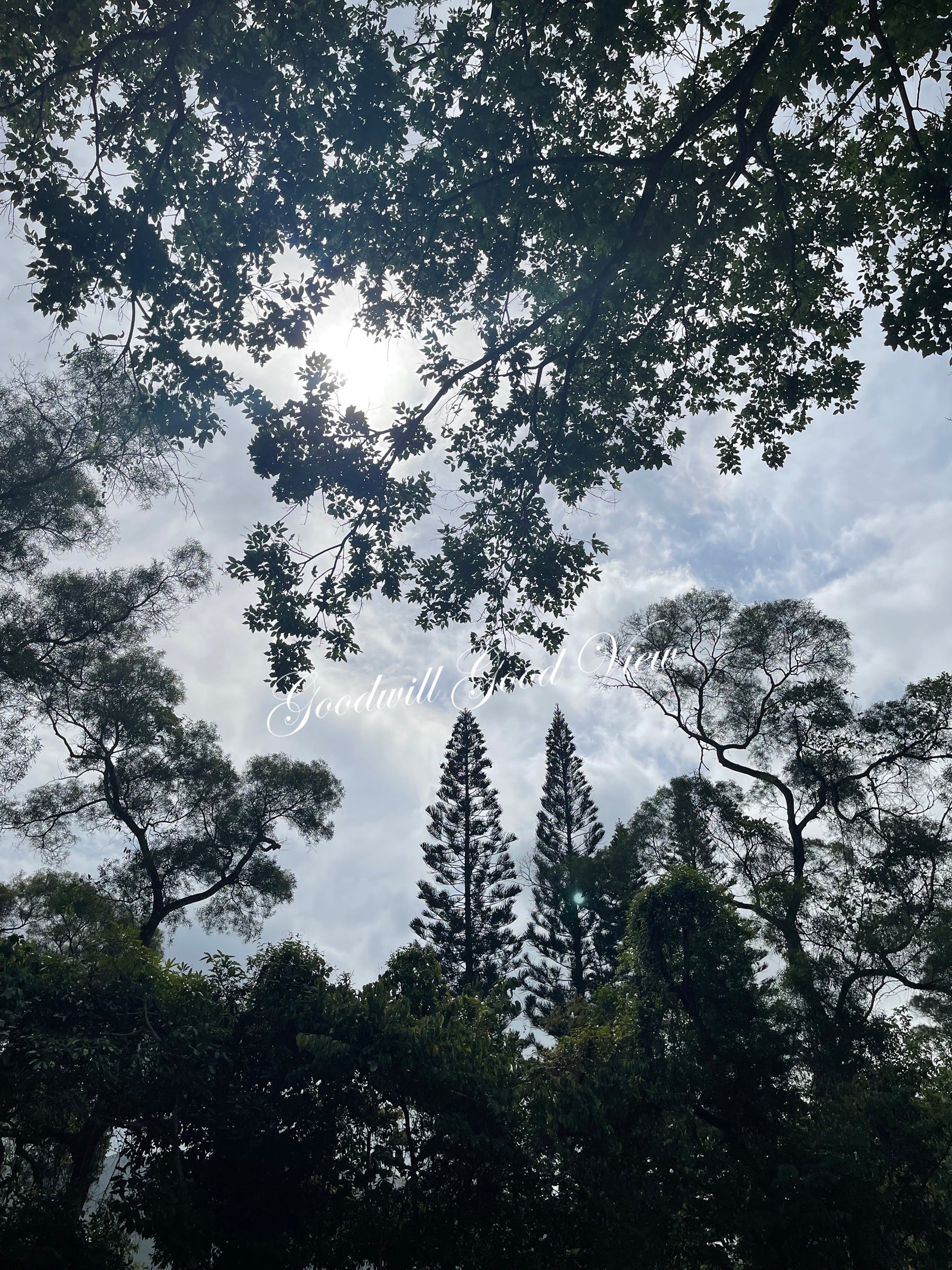 Shelter of Breath